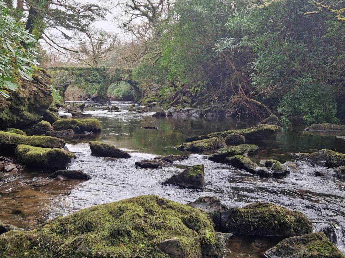 An Sibin B&B Kenmare Dış mekan fotoğraf