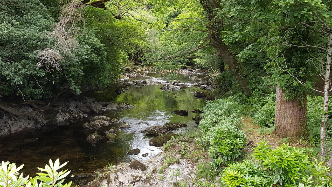 An Sibin B&B Kenmare Dış mekan fotoğraf