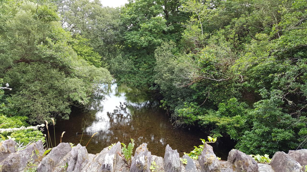 An Sibin B&B Kenmare Dış mekan fotoğraf