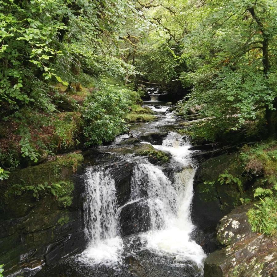 An Sibin B&B Kenmare Dış mekan fotoğraf